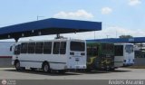 Garajes Paradas y Terminales Maracay, por Andr�s Ascanio
