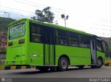 Particular o Desconocido 122 por �ngel Sal�n