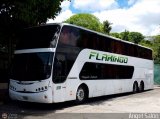 Expresos Flamingo 0090 por �ngel Sal�n