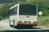 A.C. de Transporte Encarnaci�n 347, por Pablo Acevedo