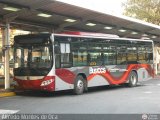 Bus CCS 1227, por Alfredo Montes de Oca
