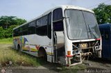 En Chiveras Abandonados Recuperacin  Fanabus Metro 4000 Volvo B10M
