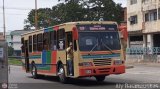 CA - Autobuses de Santa Rosa 13 por Aly Baranauskas