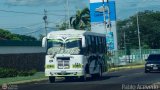 Los Rpidos S.C. 66, por Pablo Acevedo