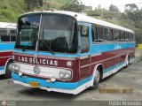 Transporte Las Delicias C.A. 45