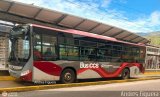 Trolmerida - Tromerca MER-990, por Andrs Figuera