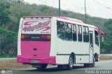 Transporte Privado Escuder�a Magallanes 01