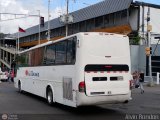 Expresos Occidente 176 por Alvin Rond�n