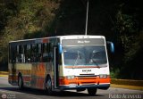 Transporte Unido (VAL - MCY - CCS - SFP) 007, por Pablo Acevedo