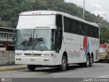 Unin Conductores Ayacucho 1058 Busscar Jum Buss 380 Scania K113TL