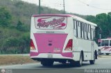 Transporte Privado Escuder�a Magallanes 02