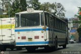 DC - A.C. Conductores Magallanes Chacato 17