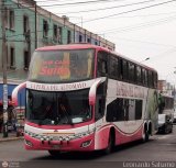 Transportes La Perla de Alto Mayo (Perú) 769