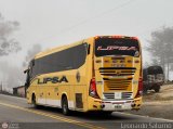 L�neas Pereiranas 2335