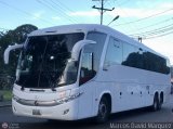 Los P�jaros de Lara 224 por Marcos David M�rquez
