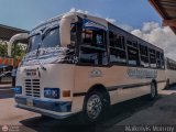 S.C. Lnea Qubor 15
