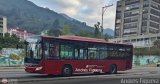 Trolmerida - Tromerca MER-994, por Andrs Figuera
