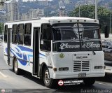 Coop. Transporte Menca de Leoni 022
