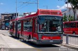 Trolmerida - Tromerca 16