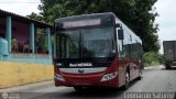 Bus Mérida 17, por Leonardo Saturno