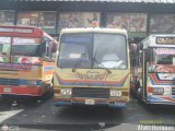 Transporte Unido (VAL - MCY - CCS - SFP) 015, por Alvin Rondon