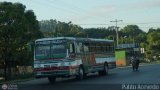 Autobuses de Tinaquillo 27, por Pablo Acevedo