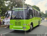 Coop. Transporte Menca de Leoni 039