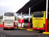Garajes Paradas y Terminales Carupano por Ricardo Ugas