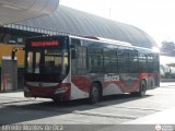 Bus CCS 1225, por Alfredo Montes de Oca