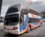 Expresos Occidente 241