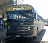 ZU - Colectivos Concepcin 104