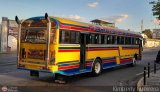 Transporte Palo Negro La Morita 2 085