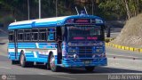 Colectivos Altagracia 12