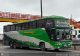 Transportes Romeliza (Per�) 969