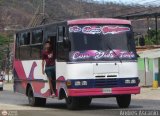 Particular o Desconocido 005 por Andr�s Ascanio