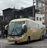 Prxima foto 962