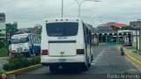 A.C. Transporte Campesino 31