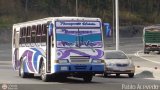 Transporte Unido 035 por Pablo Acevedo