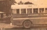 PO - Transporte Amaral 01
