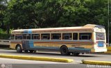 Transporte Unido (VAL - MCY - CCS - SFP) 026, por Alvin Rondon