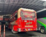 Trans Peralonso Ltda 030, por Leonardo Saturno