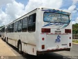 Expresos Casa de Dios 12 por M�guel Pino