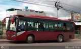 Bus Anzotegui 77, por Miguel Pino