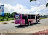 Uni�n de Conductores Unidos S.C. 028 por Esmirs Osal