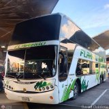 Expresos Flamingo 0061