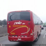 Transporte Polo (Per) 1126