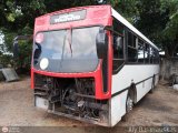 CA - Autobuses de Tocuyito Libertador 02, por Aly Baranauskas