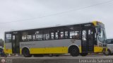 Perú Bus Internacional - Corredor Amarillo 2021