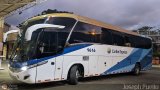 Unitransco S.A. 9616