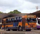 Expresos Delicias 42